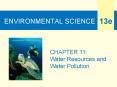 ENVIRONMENTAL SCIENCE PowerPoint PPT Presentation