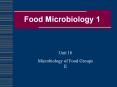 Food Microbiology 1 Unit 10 Microbiology of Food Groups II PowerPoint PPT Presentation