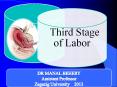 THIRD STAGE OF LABOR PowerPoint PPT Presentation