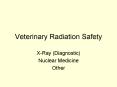Veterinary Radiation Safety PowerPoint PPT Presentation