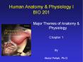 Human Anatomy PowerPoint PPT Presentation