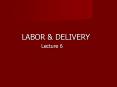 Lecture  3                                        LABOR & DELIVERY                       CHAP. 18,19, 20 PowerPoint PPT Presentation
