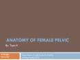 ANATOMY OF FEMALE PELVIC PowerPoint PPT Presentation