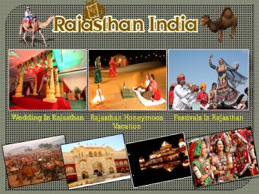Tours Rajasthan India