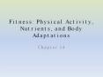 Fitness: Physical Activity, Nutrients, and Body Adaptations PowerPoint PPT Presentation
