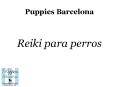 Puppies Bcn: reiki para perros PowerPoint PPT Presentation
