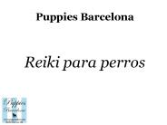 Puppies Bcn: reiki para perros