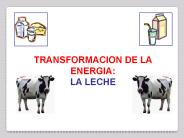 TRANSFORMACION DE LA ENERGIA