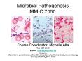 Microbial Pathogenesis MMIC 7050 PowerPoint PPT Presentation