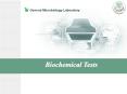 Biochemical Tests PowerPoint PPT Presentation