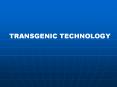 TRANSGENIC TECHNOLOGY PowerPoint PPT Presentation