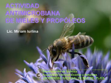 ACTIVIDAD ANTIMICROBIANA DE MIELES Y PROP LEOS Lic. Miriam