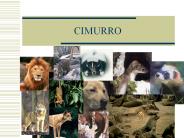 CIMURRO