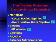Clasificaci