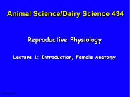 Animal Science/Dairy Science 434