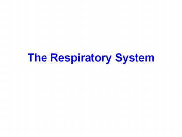 The Respiratory System