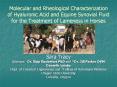 Molecular and Rheological Characterization of Hyaluronic PowerPoint PPT Presentation