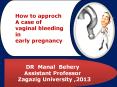 CASE STUDY ON EARLY PREGNANCY BLEEDING FOR UNDERGRADUATE PowerPoint PPT Presentation
