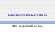 Elastic Buckling Behavior of Beams