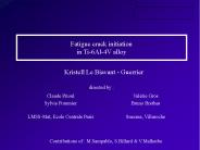 Fatigue crack initiation in Ti-6Al-4V alloy