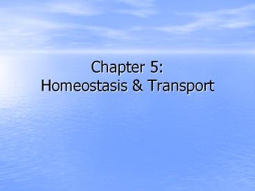 Chapter 5: Homeostasis & Transport