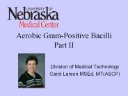 Aerobic Gram-Positive Bacilli Part II