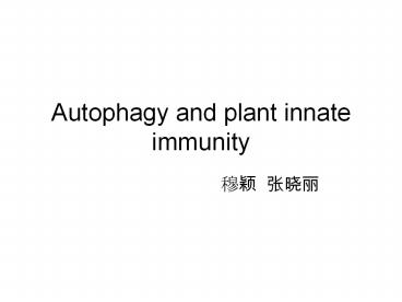 Autophagy and plant innate immunity