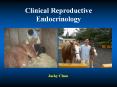 Clinical Reproductive Endocrinology PowerPoint PPT Presentation