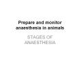 Prepare and monitor anaesthesia in animals PowerPoint PPT Presentation
