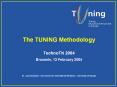 The TUNING Methodology PowerPoint PPT Presentation