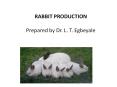 RABBIT PRODUCTION Prepared by Dr. L. T. Egbeyale PowerPoint PPT Presentation