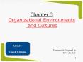 Chapter 3 Organizational Environments and Cultures PowerPoint PPT Presentation