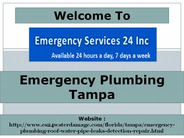 Emergency Plumbing Tampa