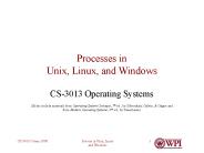 Processes in Unix, Linux, and Windows