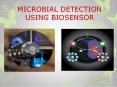 MICROBIAL DETECTION USING BIOSENSOR PowerPoint PPT Presentation