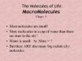 The Molecules of Life: MacroMolecules Chapt. 3 PowerPoint PPT Presentation