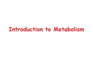 Introduction to Metabolism