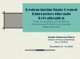 Restructuring State Owned Enterprises through Privatization Expert Group meeting on NAM Reform: Privatization and Public-Private Partnership Brunei Darussalam PowerPoint PPT Presentation