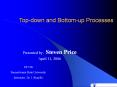 Top-down and Bottom-up Processes PowerPoint PPT Presentation