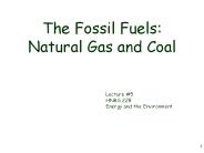 The Fossil Fuels: Natural Gas and Coal