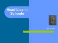 Head Lice in Schools May 22, 2009 Each school year: All PowerPoint PPT Presentation