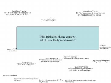 Hollywood Movie Slide