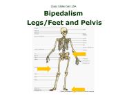 Class Slides Set 15A