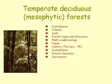 Temperate deciduous (mesophytic) forests
