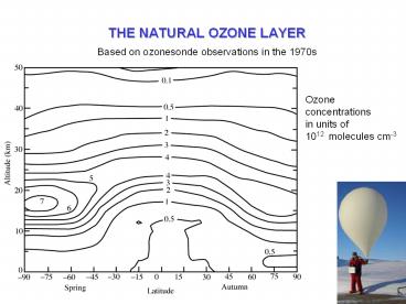THE NATURAL OZONE LAYER