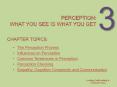 Perception: what you see is what you get PowerPoint PPT Presentation
