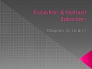 Evolution & Natural Selection