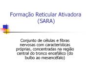 Formaзгo Reticular Ativadora         (SARA)