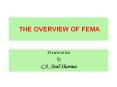 THE OVERVIEW OF FEMA PowerPoint PPT Presentation