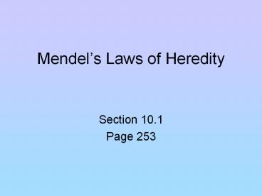 Mendel’s Laws of Heredity
